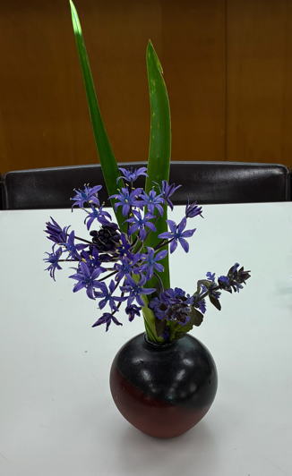 47月例会 の花の写真