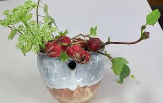 11月例会 の花の写真